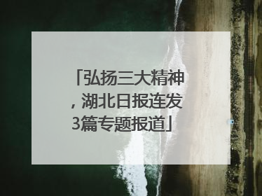 弘扬三大精神，湖北日报连发3篇专题报道