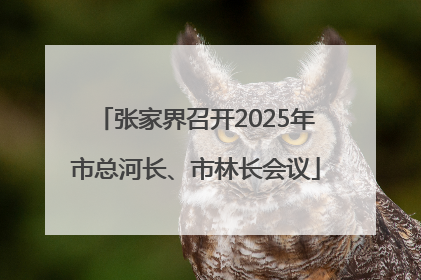 张家界召开2025年市总河长、市林长会议