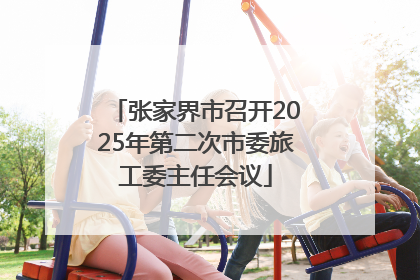 张家界市召开2025年第二次市委旅工委主任会议