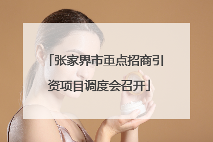 张家界市重点招商引资项目调度会召开