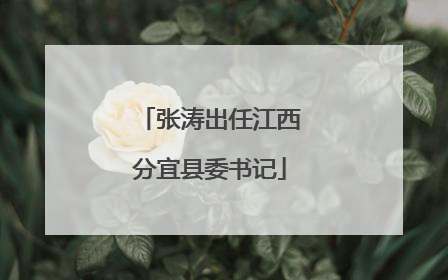 张涛出任江西分宜县委书记