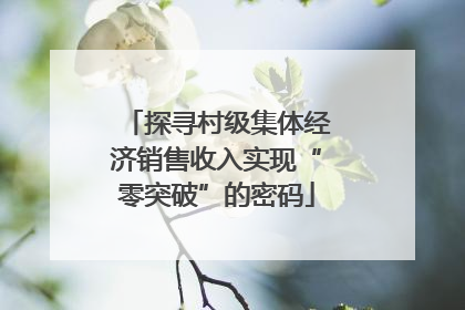 探寻村级集体经济销售收入实现“零突破”的密码