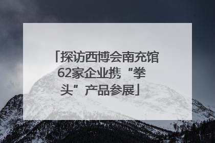 探访西博会南充馆 62家企业携“拳头”产品参展