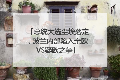 总统大选尘埃落定，波兰内部陷入亲欧VS疑欧之争
