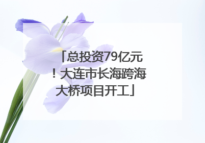 总投资79亿元！大连市长海跨海大桥项目开工