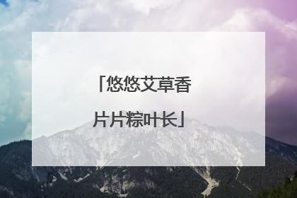 悠悠艾草香 片片粽叶长