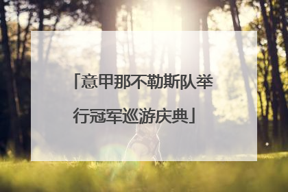 意甲那不勒斯队举行冠军巡游庆典