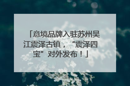 意境品牌入驻苏州吴江震泽古镇，“震泽四宝”对外发布！