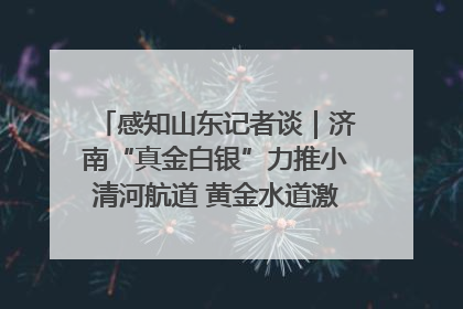 感知山东记者谈｜济南“真金白银”力推小清河航道 黄金水道激活区域经济新动能