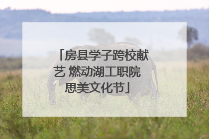 房县学子跨校献艺 燃动湖工职院思美文化节