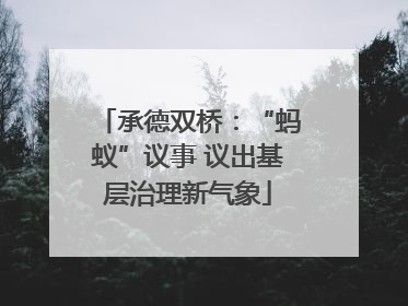 承德双桥：“蚂蚁”议事 议出基层治理新气象