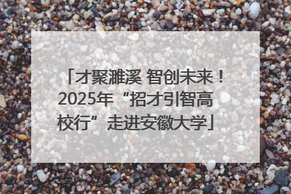 才聚濉溪 智创未来！2025年“招才引智高校行”走进安徽大学