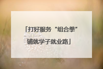 打好服务“组合拳” 铺就学子就业路