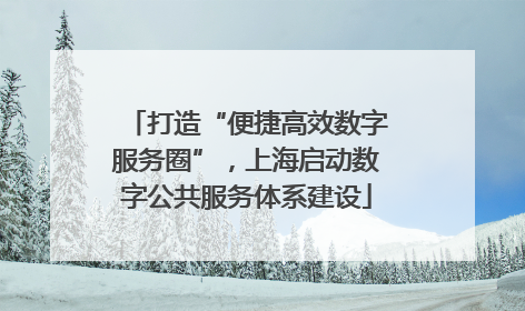 打造“便捷高效数字服务圈”，上海启动数字公共服务体系建设