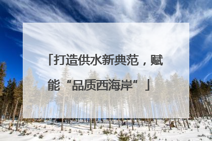 打造供水新典范，赋能“品质西海岸”