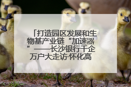 打造园区发展和生物基产业链“加速器”——长沙银行千企万户大走访·怀化高新区、生物基产业链专场活动举行