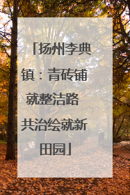 扬州李典镇：青砖铺就整洁路 共治绘就新田园