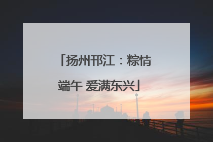 扬州邗江：粽情端午 爱满东兴