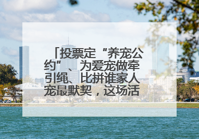 投票定“养宠公约”、为爱宠做牵引绳、比拼谁家人宠最默契，这场活动有趣更有意义