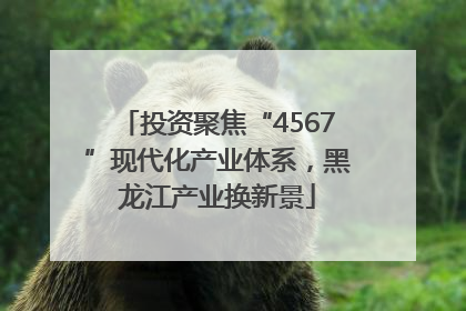 投资聚焦“4567”现代化产业体系，黑龙江产业换新景