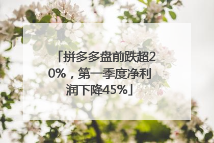 拼多多盘前跌超20%，第一季度净利润下降45%