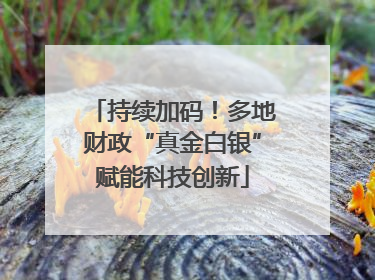 持续加码！多地财政“真金白银”赋能科技创新