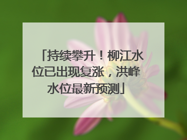 持续攀升！柳江水位已出现复涨，洪峰水位最新预测