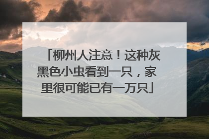柳州人注意！这种灰黑色小虫看到一只，家里很可能已有一万只