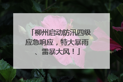 柳州启动防汛四级应急响应，特大暴雨、雷暴大风！