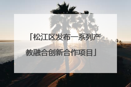 松江区发布一系列产教融合创新合作项目