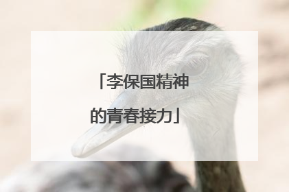 李保国精神的青春接力