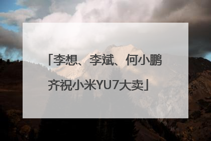 李想、李斌、何小鹏齐祝小米YU7大卖