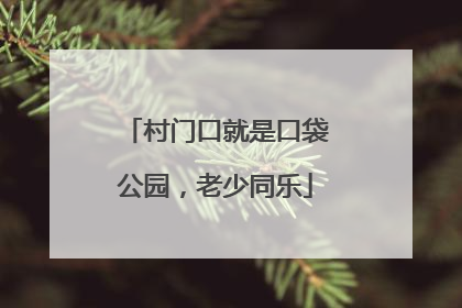 村门口就是口袋公园，老少同乐