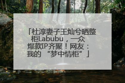 杜淳妻子王灿兮晒整柜Labubu，一众爆款IP齐聚！网友：我的 “梦中情柜”