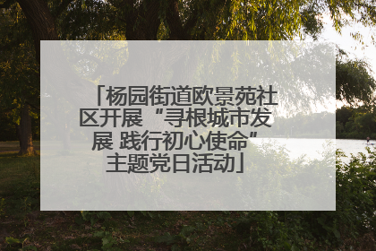 杨园街道欧景苑社区开展“寻根城市发展 践行初心使命”主题党日活动