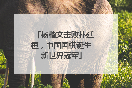 杨楷文击败朴廷桓，中国围棋诞生新世界冠军