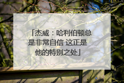 杰威：哈利伯顿总是非常自信 这正是他的特别之处