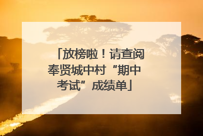 放榜啦！请查阅奉贤城中村“期中考试”成绩单