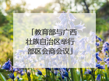 教育部与广西壮族自治区举行部区会商会议