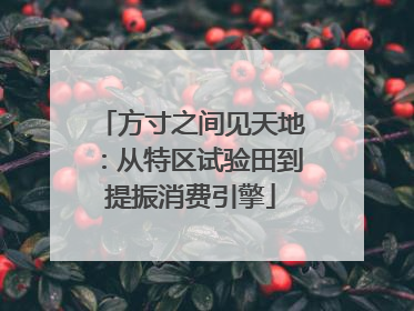 方寸之间见天地：从特区试验田到提振消费引擎