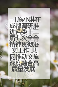 施小琳在成都调研推进省委十二届七次全会精神贯彻落实工作 共同推动文旅深度融合高质量发展 加快打造支柱产业民生产业幸福产业