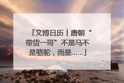 文博日历丨唐朝“带货一哥”不是马不是骆驼，而是……