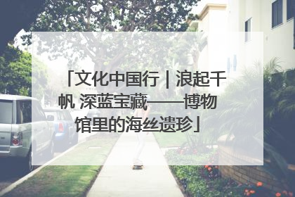 文化中国行｜浪起千帆 深蓝宝藏——博物馆里的海丝遗珍