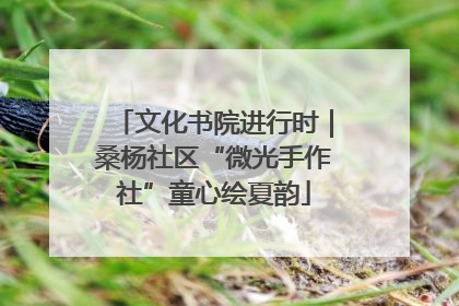 文化书院进行时｜桑杨社区“微光手作社”童心绘夏韵