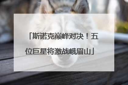 斯诺克巅峰对决！五位巨星将激战峨眉山