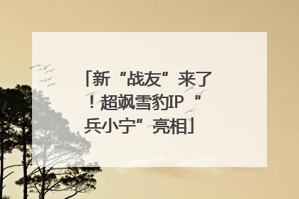 新“战友”来了！超飒雪豹IP“兵小宁”亮相