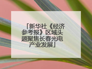 新华社《经济参考报》区域头题聚焦长春光电产业发展