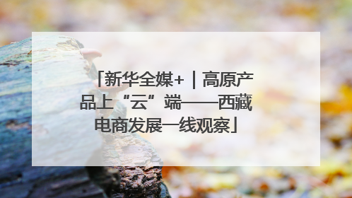新华全媒+｜高原产品上“云”端——西藏电商发展一线观察