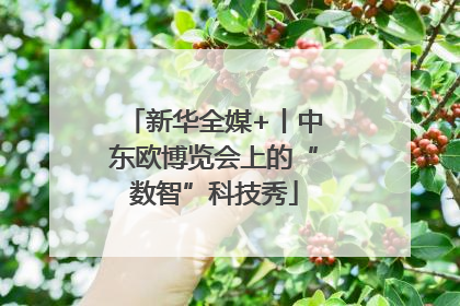 新华全媒+丨中东欧博览会上的“数智”科技秀