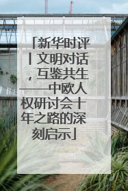 新华时评丨文明对话，互鉴共生——中欧人权研讨会十年之路的深刻启示